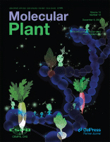 Cover of Molecular Plant, featuring study using the protocol.