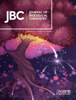 Cover of The Journal of Biological Chemistry, featuring study using the protocol.