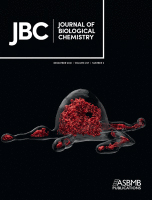 Cover of The Journal of Biological Chemistry, featuring study using the protocol.