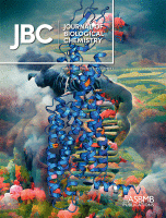Cover of Developmental Neuroscience, featuring study using the protocol.