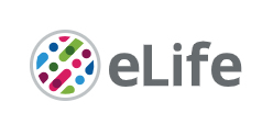 Cover of eLIFE, featuring study using the protocol.