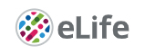 Cover of eLIFE, featuring study using the protocol.