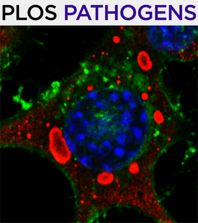 Cover of PLOS Pathogens, featuring study using the protocol.