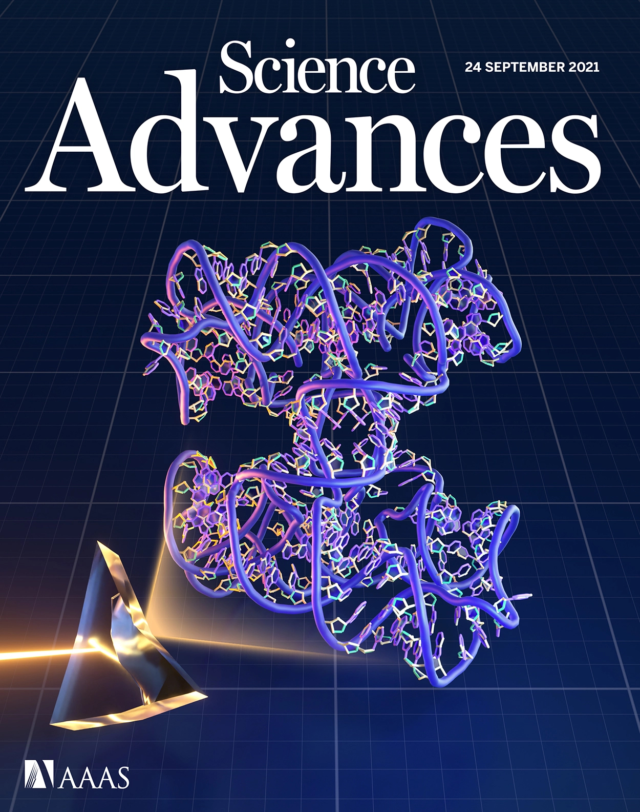 Cover of Science Advances, featuring study using the protocol.