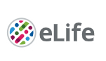 Cover of eLIFE, featuring study using the protocol.