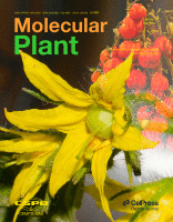 Cover of Molecular Plant, featuring study using the protocol.