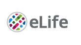 Cover of eLIFE, featuring study using the protocol.