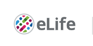 Cover of eLIFE, featuring study using the protocol.