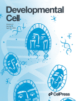 Cover of Developmental Cell, featuring study using the protocol.