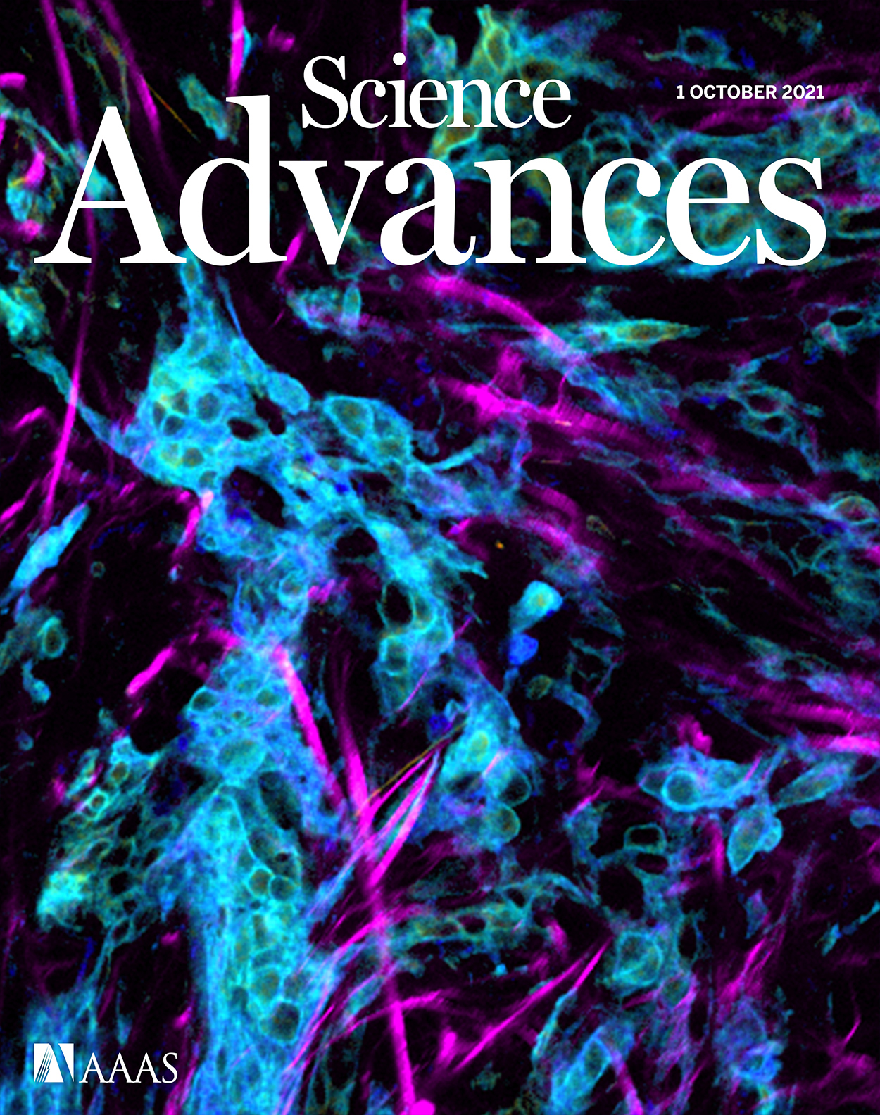Cover of Science Advances, featuring study using the protocol.