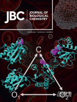 Cover of The Journal of Biological Chemistry, featuring study using the protocol.