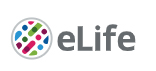 Cover of eLIFE, featuring study using the protocol.