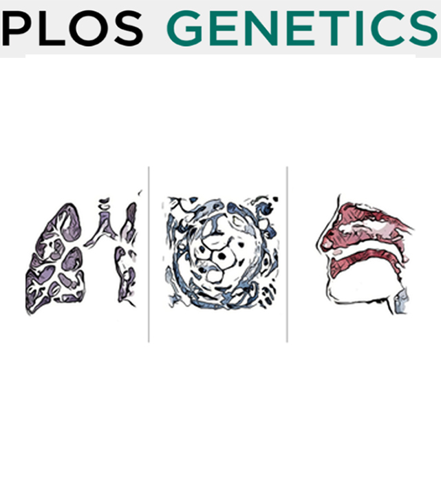 Cover of PLOS Genetics, featuring study using the protocol.
