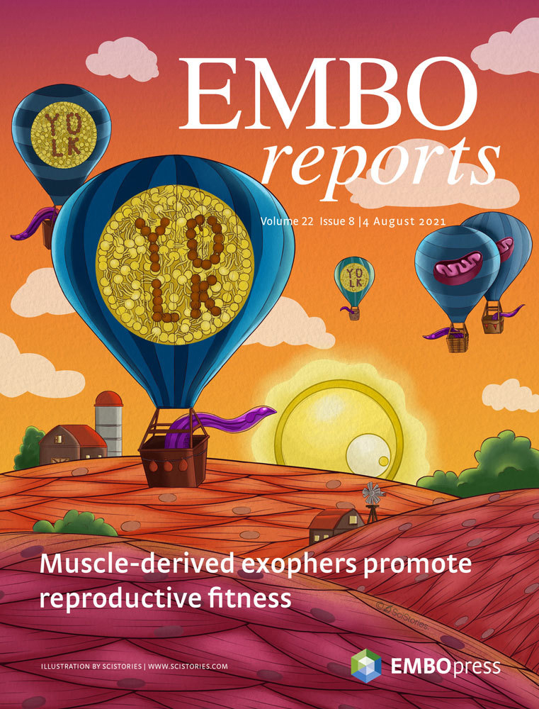 Cover of EMBO Reports, featuring study using the protocol.