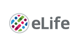 Cover of eLIFE, featuring study using the protocol.