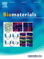 Cover of Biomaterials, featuring study using the protocol.