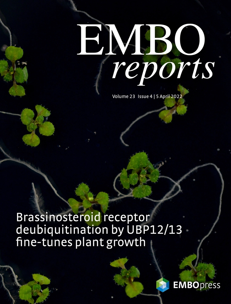 Cover of EMBO Reports, featuring study using the protocol.
