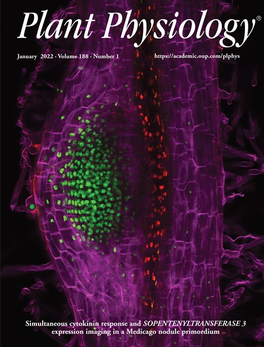 Cover of Plant Physiology, featuring study using the protocol.