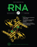 Cover of RNA, featuring study using the protocol.