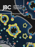 Cover of The Journal of Biological Chemistry, featuring study using the protocol.