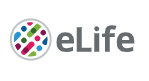 Cover of eLIFE, featuring study using the protocol.