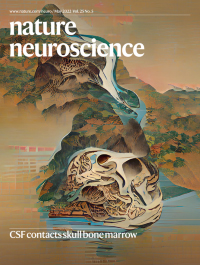 Cover of Nature Neuroscience, featuring study using the protocol.