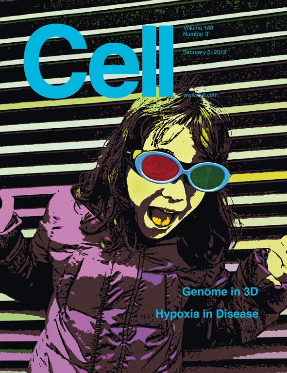 Cover of Cell, featuring study using the protocol.