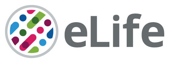Cover of eLIFE, featuring study using the protocol.