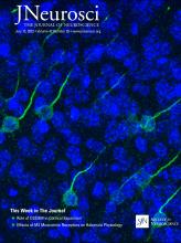 Cover of The Journal of Neuroscience, featuring study using the protocol.