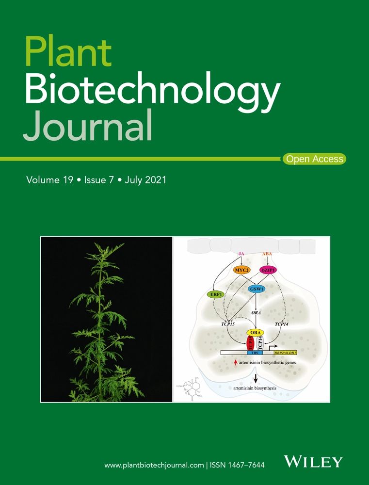 Cover of Plant Biotechnology Journal, featuring study using the protocol.