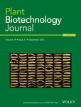 Cover of Plant Biotechnology Journal, featuring study using the protocol.