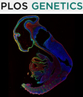 Cover of PLOS Genetics, featuring study using the protocol.