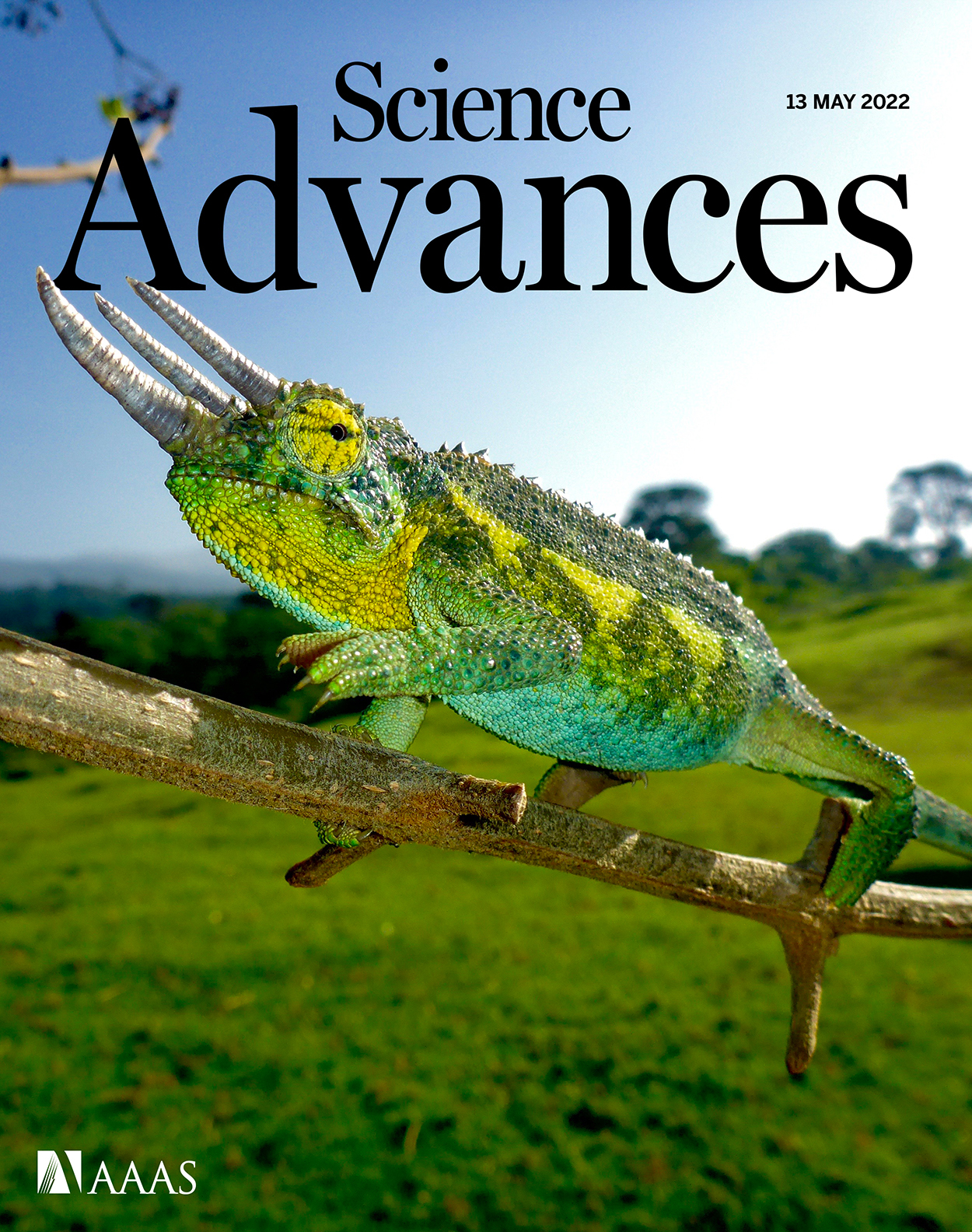 Cover of Science Advances, featuring study using the protocol.