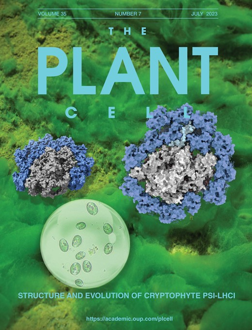 Cover of The Plant Cell, featuring study using the protocol.