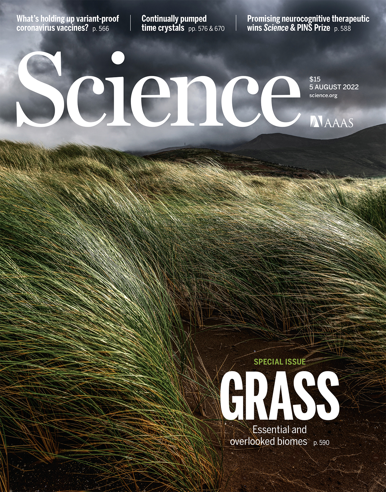Cover of Science, featuring study using the protocol.