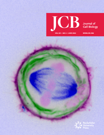 Cover of The Journal of Cell Biology, featuring study using the protocol.