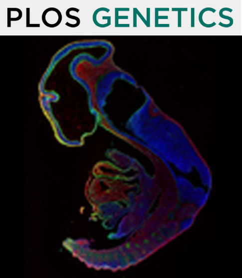 Cover of PLOS Genetics, featuring study using the protocol.
