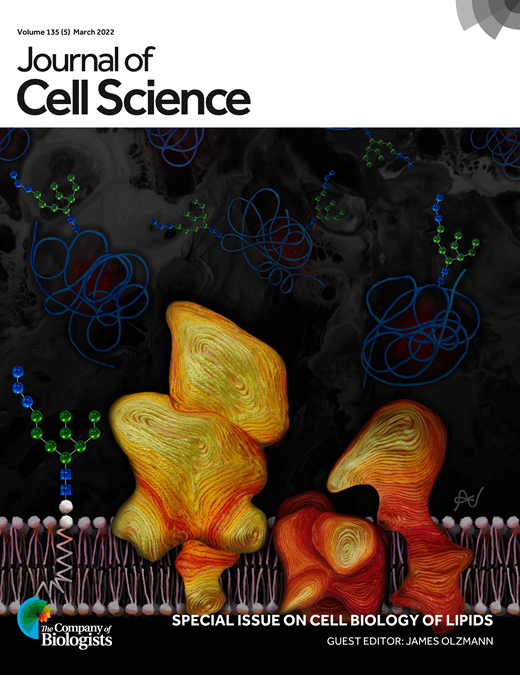 Cover of Journal of Cell Science, featuring study using the protocol.