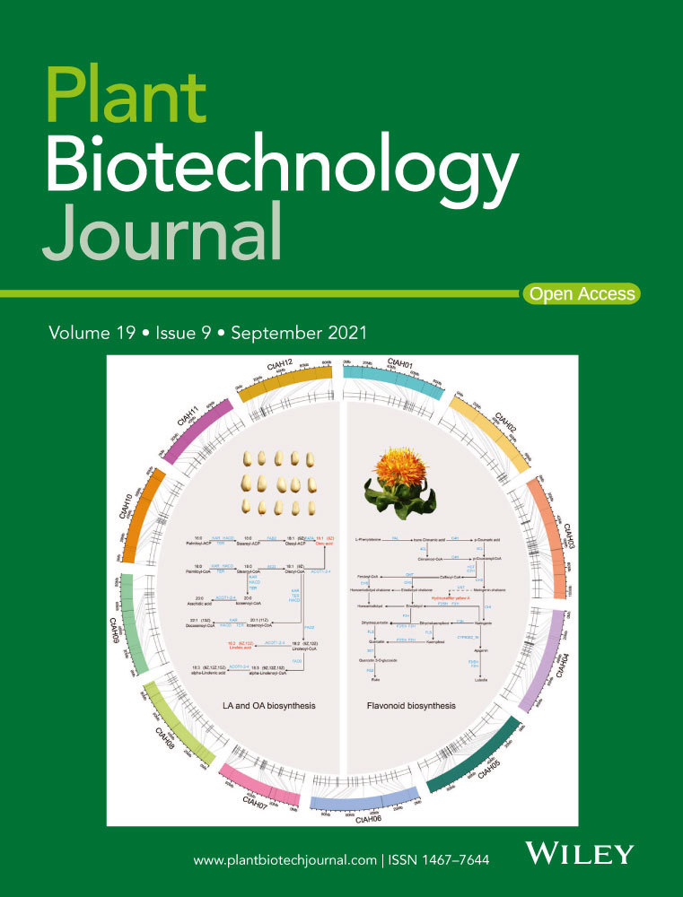 Cover of Plant Biotechnology Journal, featuring study using the protocol.