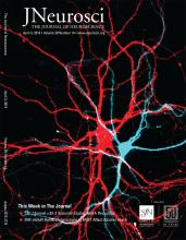 Cover of The Journal of Neuroscience, featuring study using the protocol.