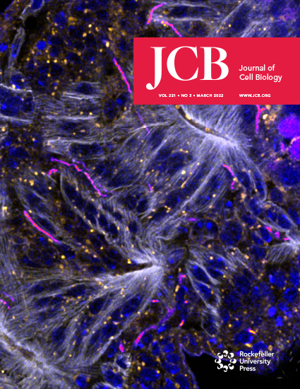 Cover of The Journal of Cell Biology, featuring study using the protocol.