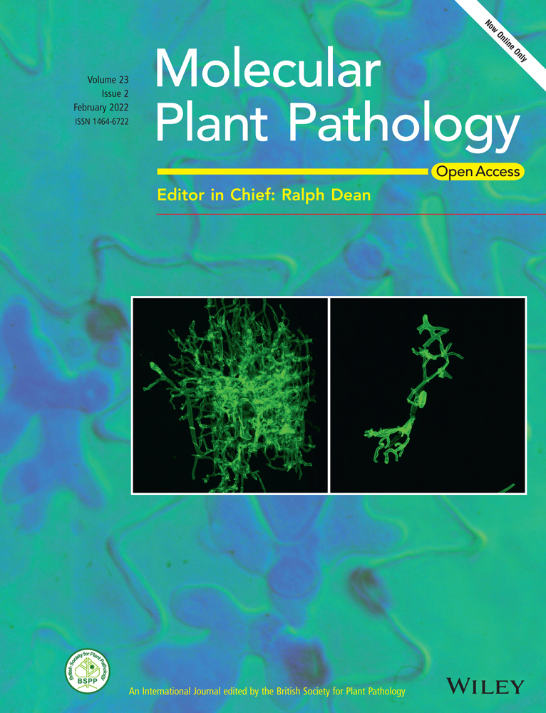 Cover of Molecular Plant Pathology, featuring study using the protocol.