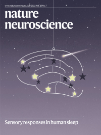 Cover of Nature Neuroscience, featuring study using the protocol.