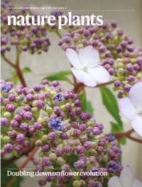 Cover of Nature Plants, featuring study using the protocol.