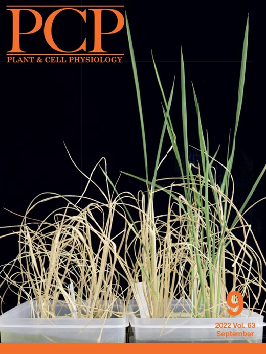 Cover of Plant & Cell Physiology, featuring study using the protocol.