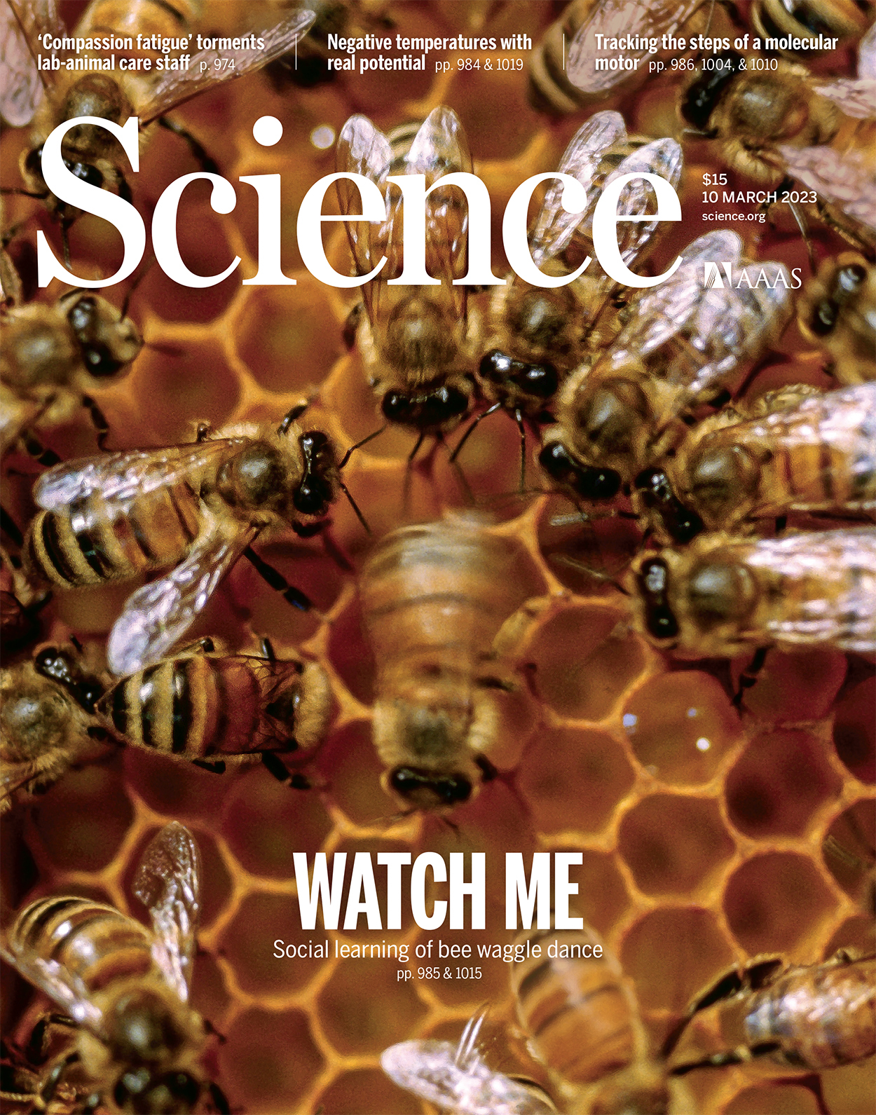 Cover of Science, featuring study using the protocol.