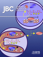 Cover of The Journal of Biological Chemistry, featuring study using the protocol.