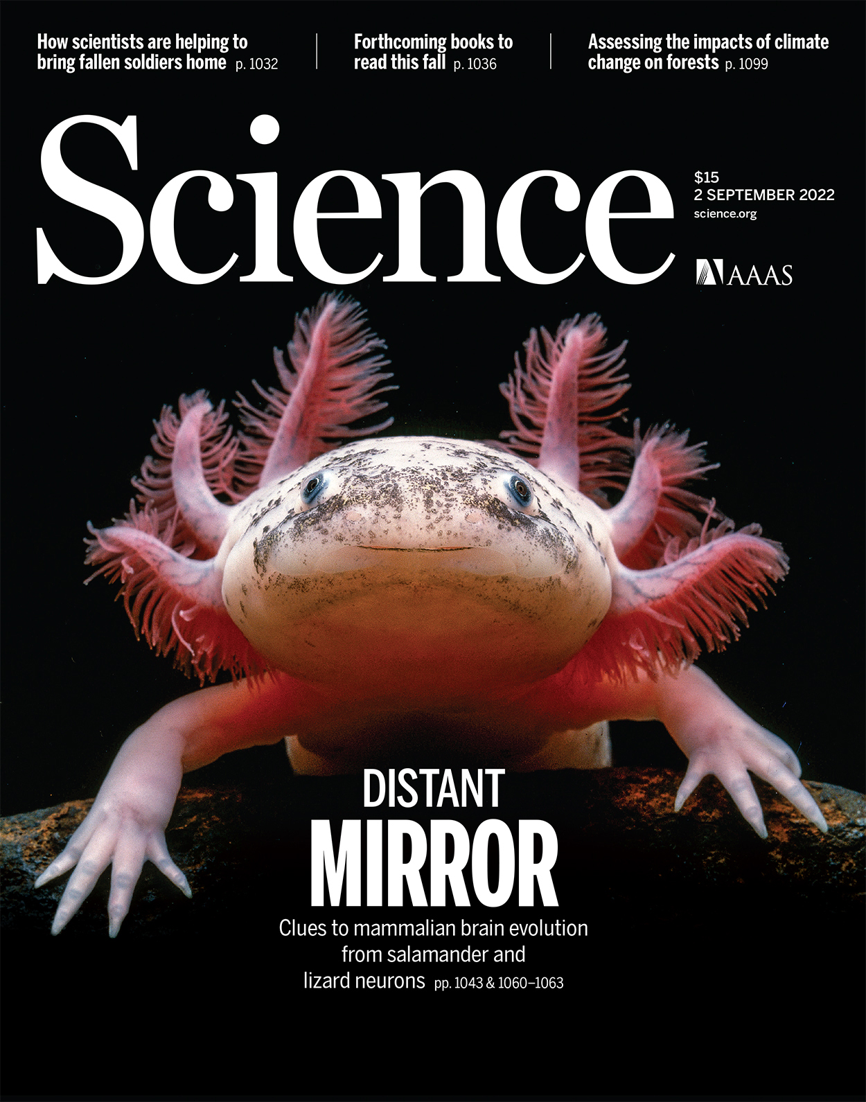 Cover of Science, featuring study using the protocol.