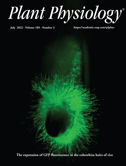 Cover of Plant Physiology, featuring study using the protocol.