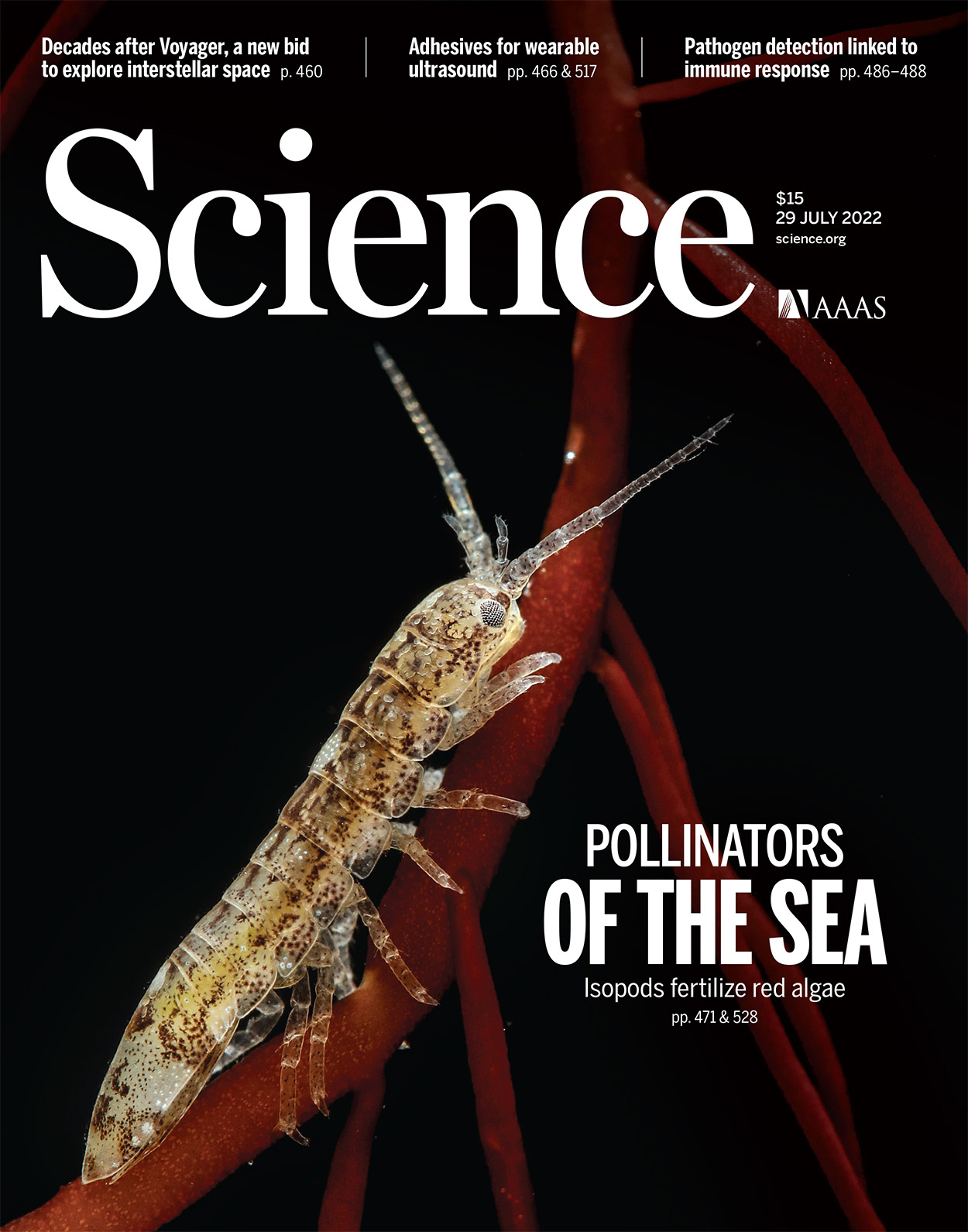 Cover of Science, featuring study using the protocol.